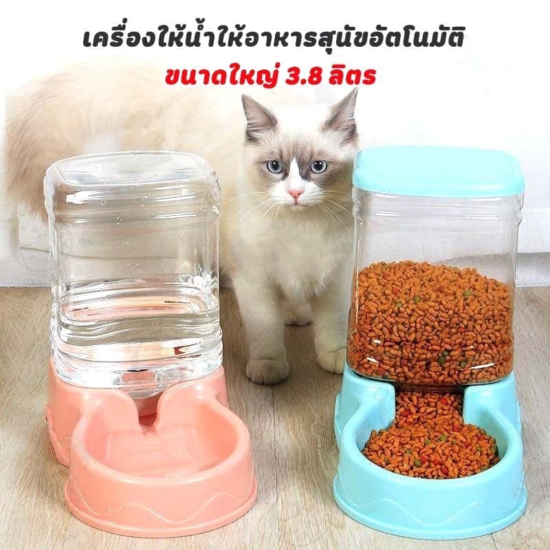 เครื่องให้อาหารแมวอัตโนมัติ ที่ให้อาหารอัตโนมัติ เครื่องให้อาหาร ชามข้าว ชามอาหาร หมา แมว อัตโนมัติ รูปที่ 4