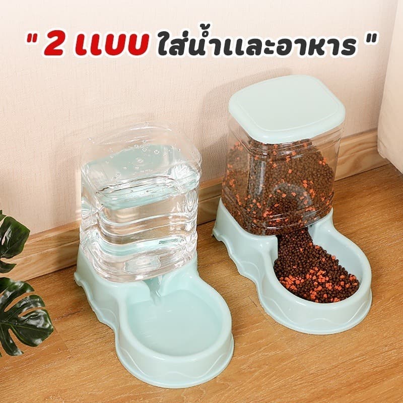 เครื่องให้อาหารแมวอัตโนมัติ ที่ให้อาหารอัตโนมัติ เครื่องให้อาหาร ชามข้าว ชามอาหาร หมา แมว อัตโนมัติ รูปที่ 6