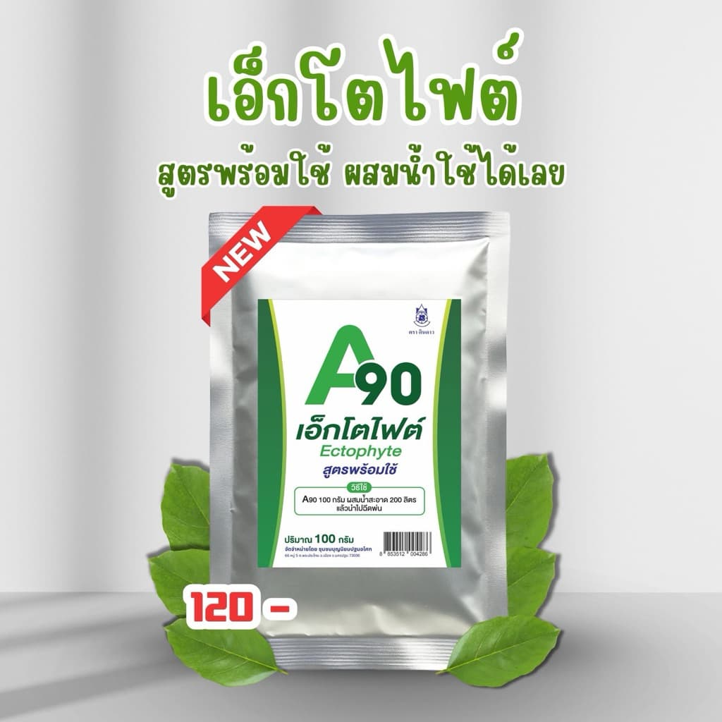 A90 เอ็กโตไฟต์ ป้องกันโรคพืช สูตรพร้อมใช้ รูปที่ 1