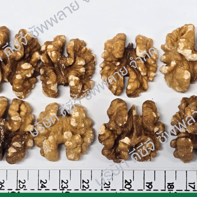วอลนัทดิบ แบบเต็มเม็ด วอนัท Raw Walnuts Kernel Whole วอลนัทแกะเปลือก วอลนัทเนื้อล้วน รูปที่ 5