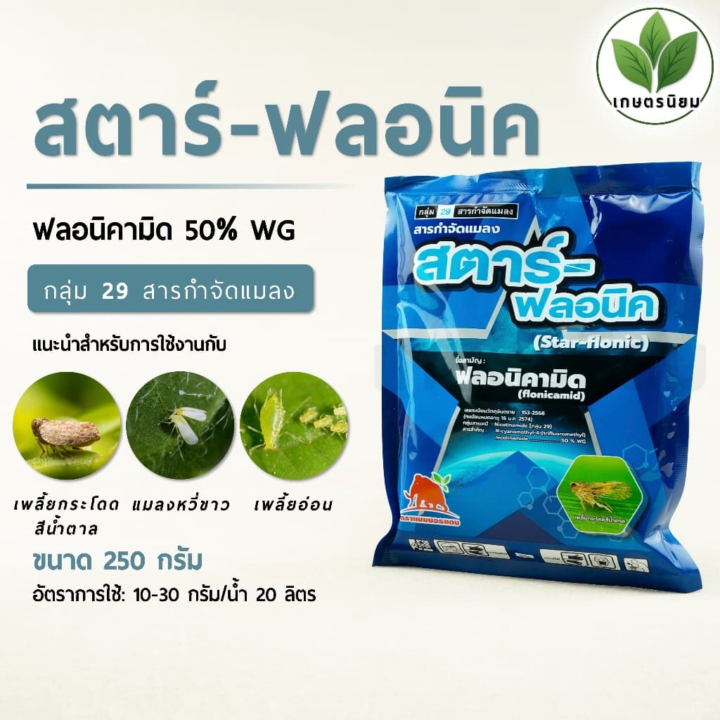 สตาร์-ฟลอนิค 250 กรัม รูปที่ 1