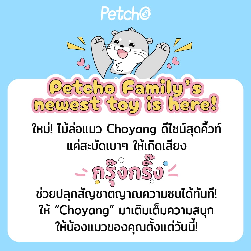 Petcho ของเล่นแมว ไม้ตกแมว มีกระดิ่งและลูกบอลสีสัน คลายเครียด คลายเหงา Choyang Cat Teaser รูปที่ 2
