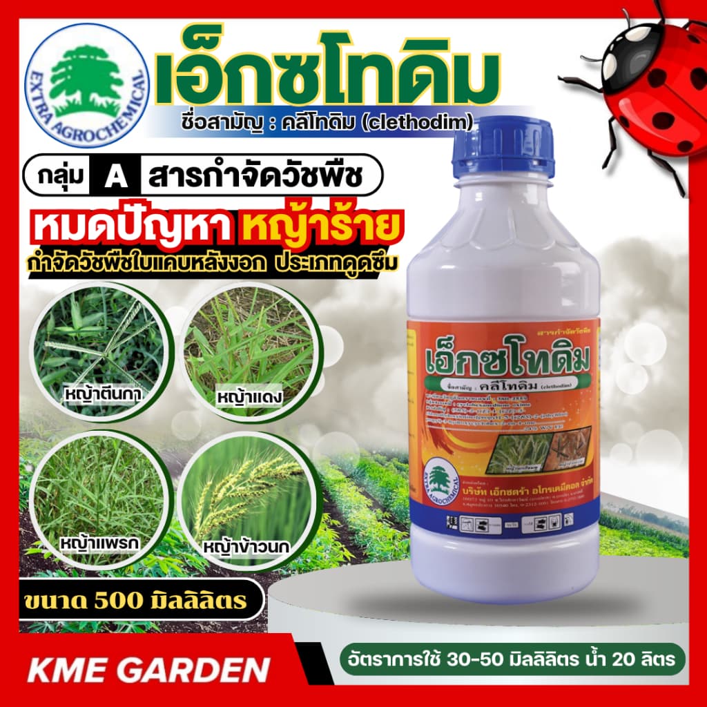 วัชพืช เอ็กซโทดิม ขนาด1 ลิตร 500มม. คลีโทดิม เป็นสารกำจัดวัชพืช ประเภทดูดซึม ใช้กำจัดวัชพืชใบแคบหลังงอก รูปที่ 1