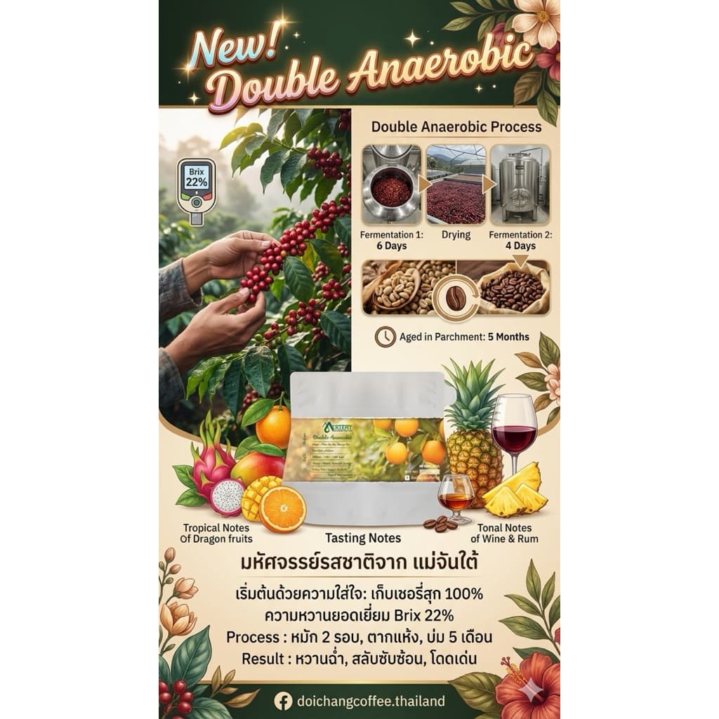 double Anaerobic รูปที่ 8