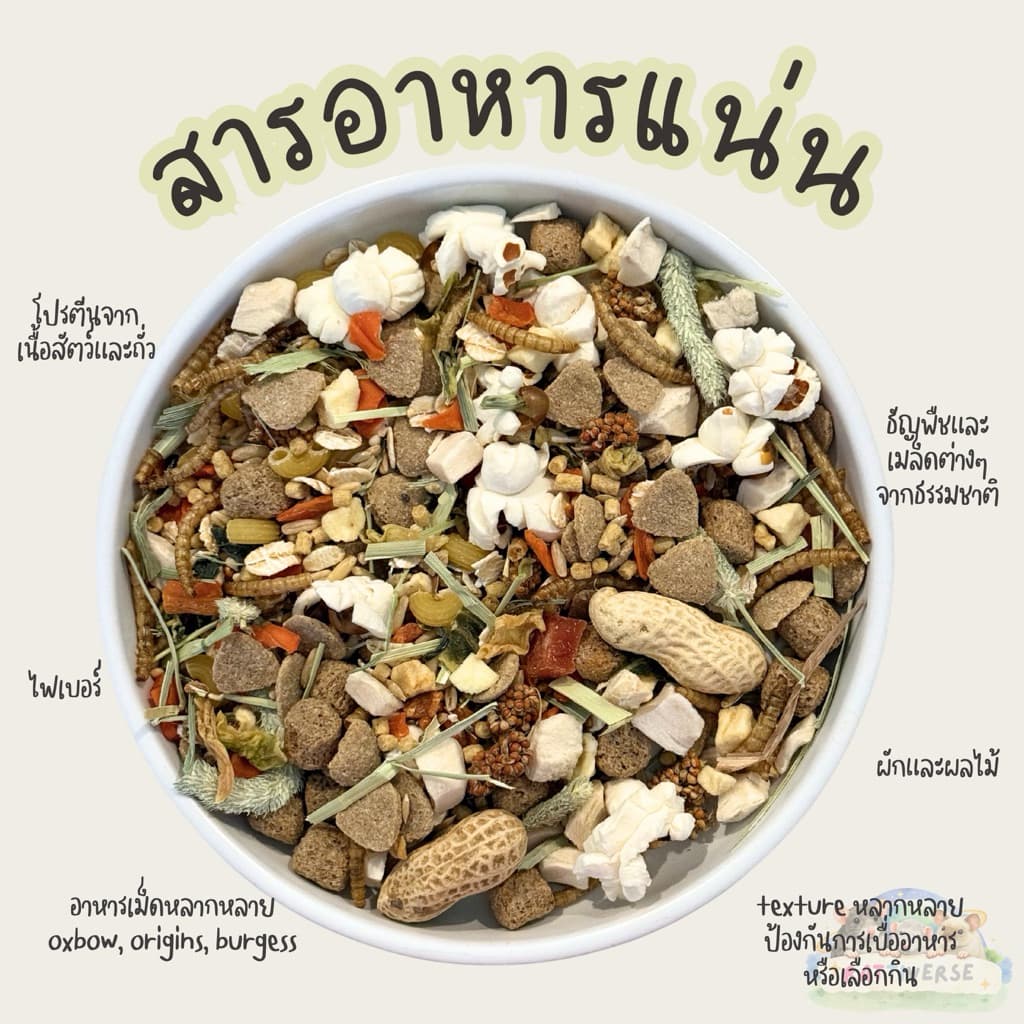 Rattiverse อาหารหนูแรท อาหารผสม สูตร Complete and Balance ไซส์ใหญ่ รูปที่ 2