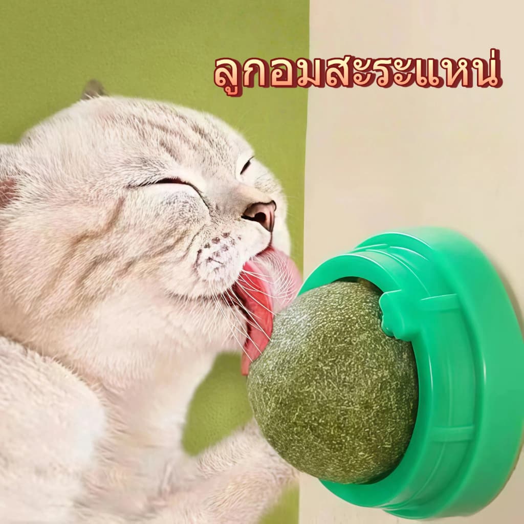 บอลกัญชาแมว ธรรมชาติ ของเล่นแมวลับฟัน ทำความสะอาดฟัน ทนกัด แมวเล่นเองแก้เบื่อได้ รูปที่ 1