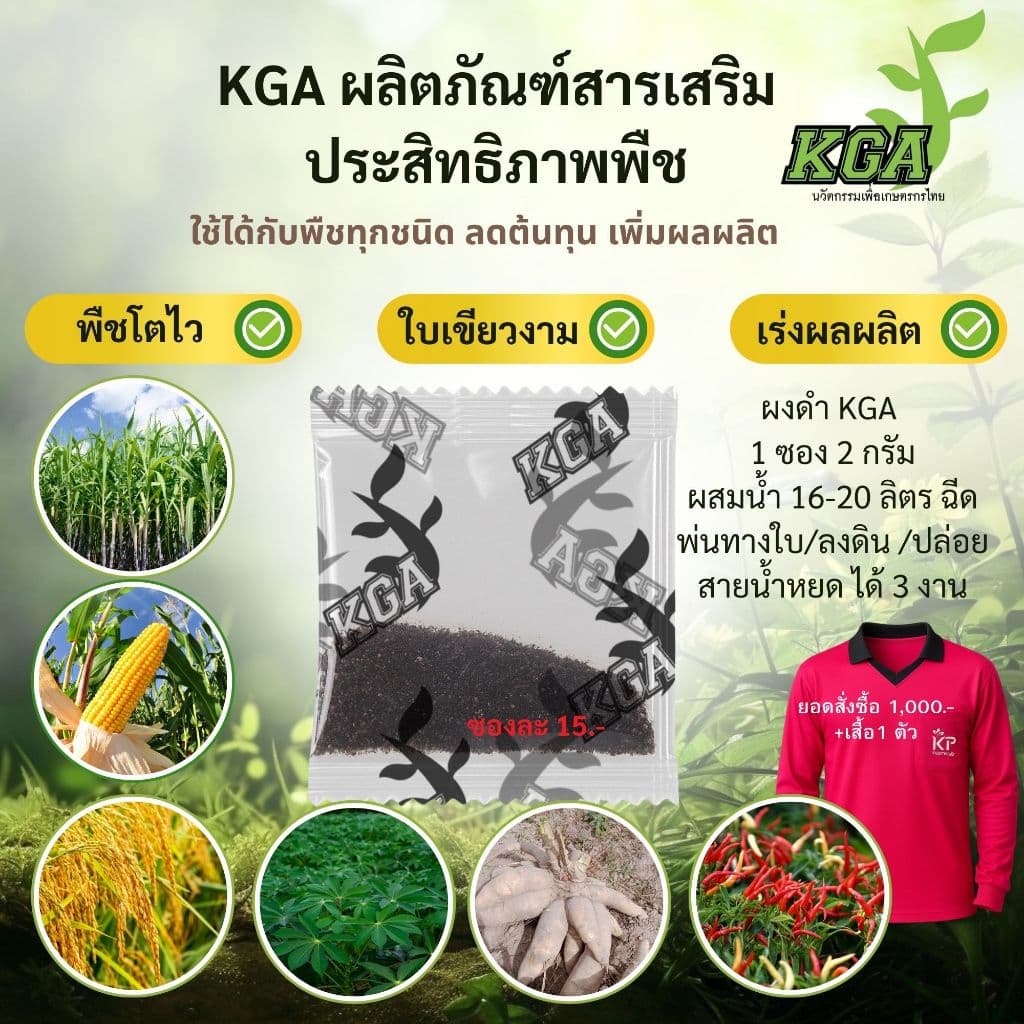 KGA อาหารพืชทางใบ ผงดำ 100 ซอง แถมน้ำสีทอง 1 ขวด รูปที่ 3