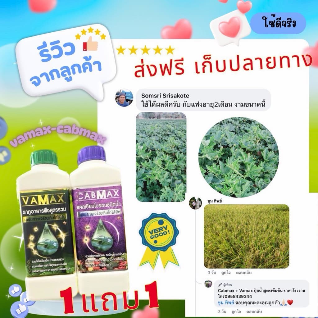ปุ๋ย CABMAX และ VAMAX จัดโปรสุดคุ้มพิเศษ 1แถม1 ราคาพิเศษ290บาท ทั่วไทย รูปที่ 6