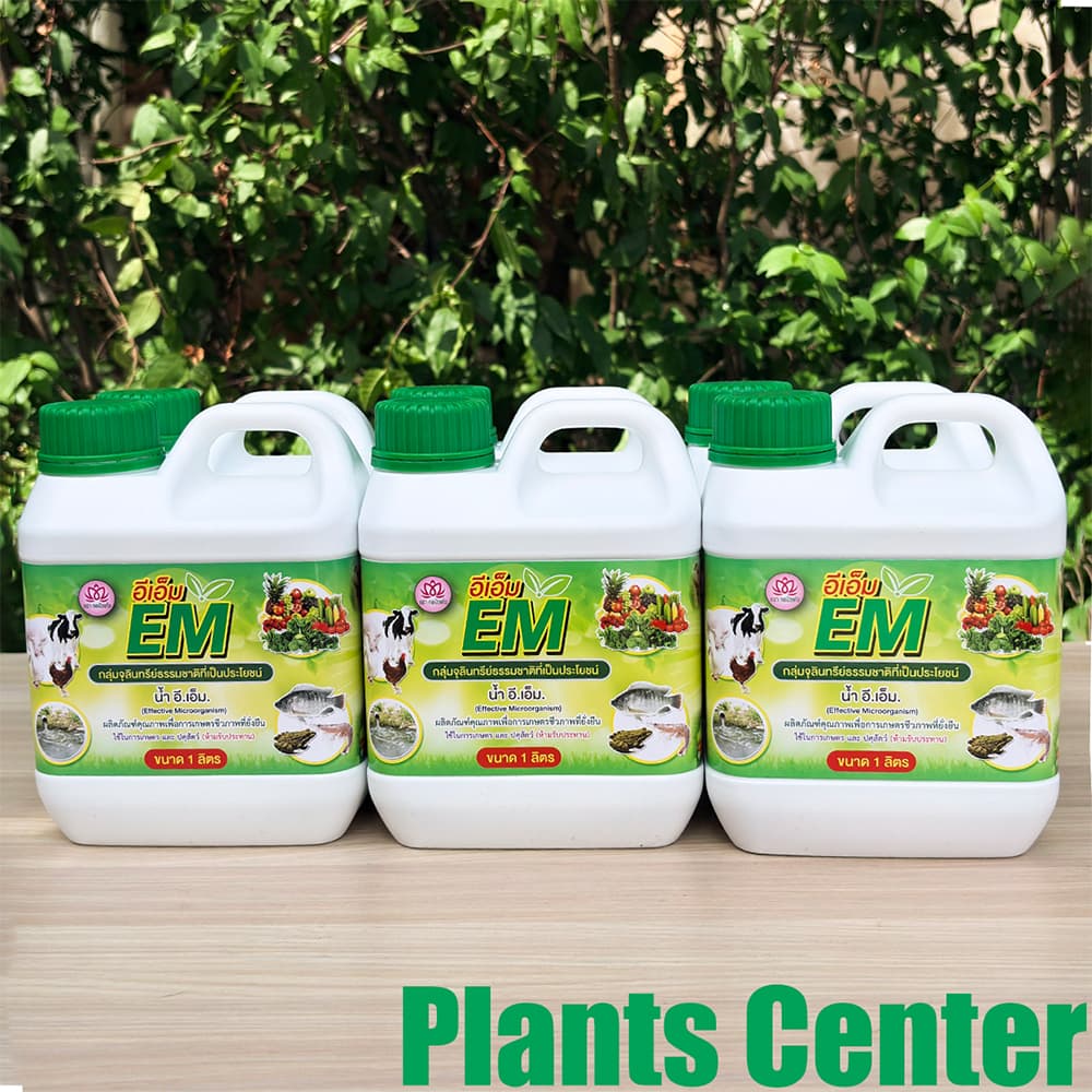 Plants Center EM หัวเชื้ออีเอ็มธรรมชาติ ดับกลิ่นท่อ ส้วม กลิ่นเหม็น ใช้ย่อยสลาย หมักปุ๋ย บำบัดน้ำขนาด 1L ตรากอบัว รูปที่ 3