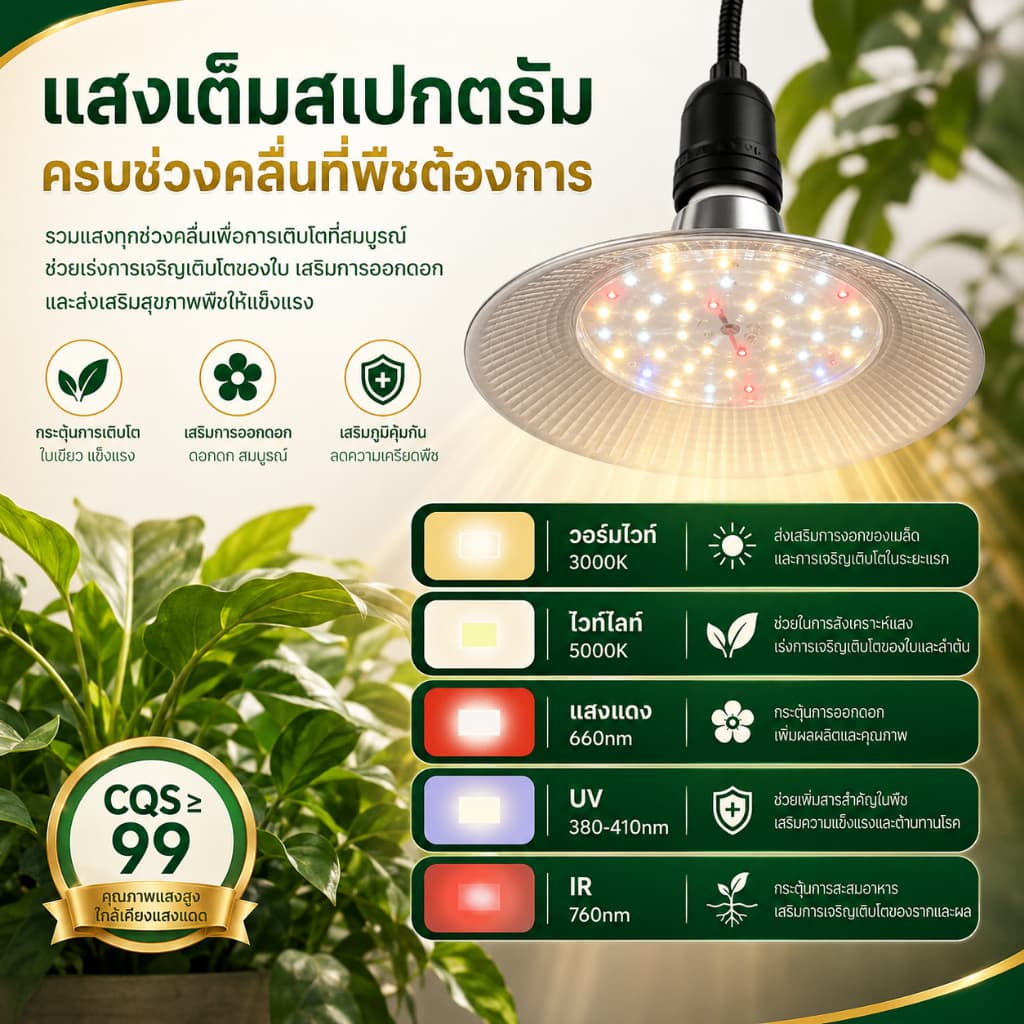 โคมไฟปลูกพืช 200Wโคมไฟไฟปลูกต้นไม้ ไฟปลูกพืช ไฟปลูกจานบิน ขั้วเกลียว E27 ไฟช่วยต้นไม้โตเร็ว แสงธรรมชาติ แสงขาว รูปที่ 2