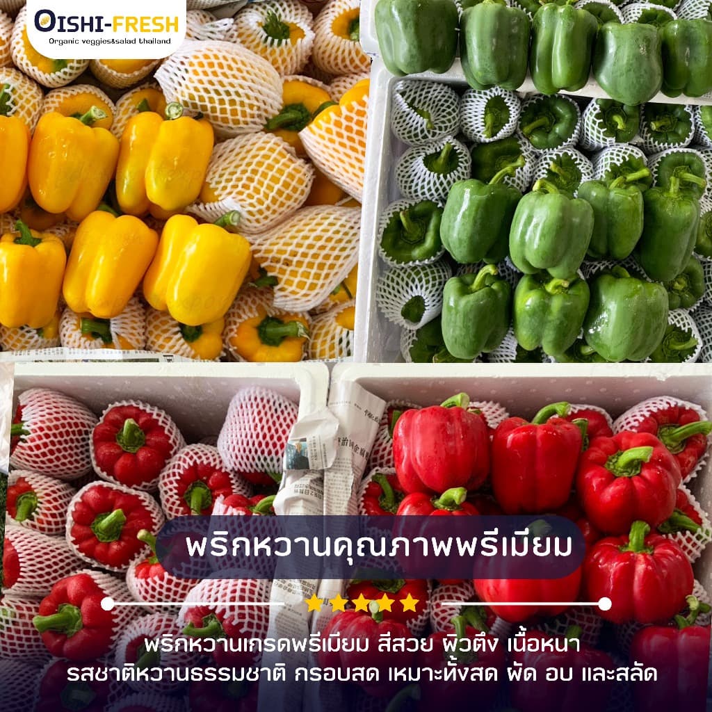 Oishi-Fresh พริกหวาน ปลอดสารพิษ 1 กก. รสชาติกรอบ สด ใหม่ ใยอาหารสูง หวานออร์แกนิค เคลมได้ 1-2 วัน รูปที่ 2