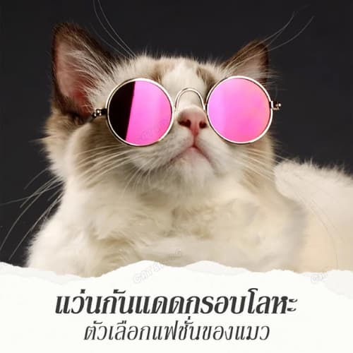 Pet Record แว่นตาสัตว์เลี้ยง แว่นแมว แว่นสุนัข กันลม กันฝุ่น ดีไซน์น่ารัก แถมฟรีสายคล้องแว่นกันลื่น รูปที่ 4