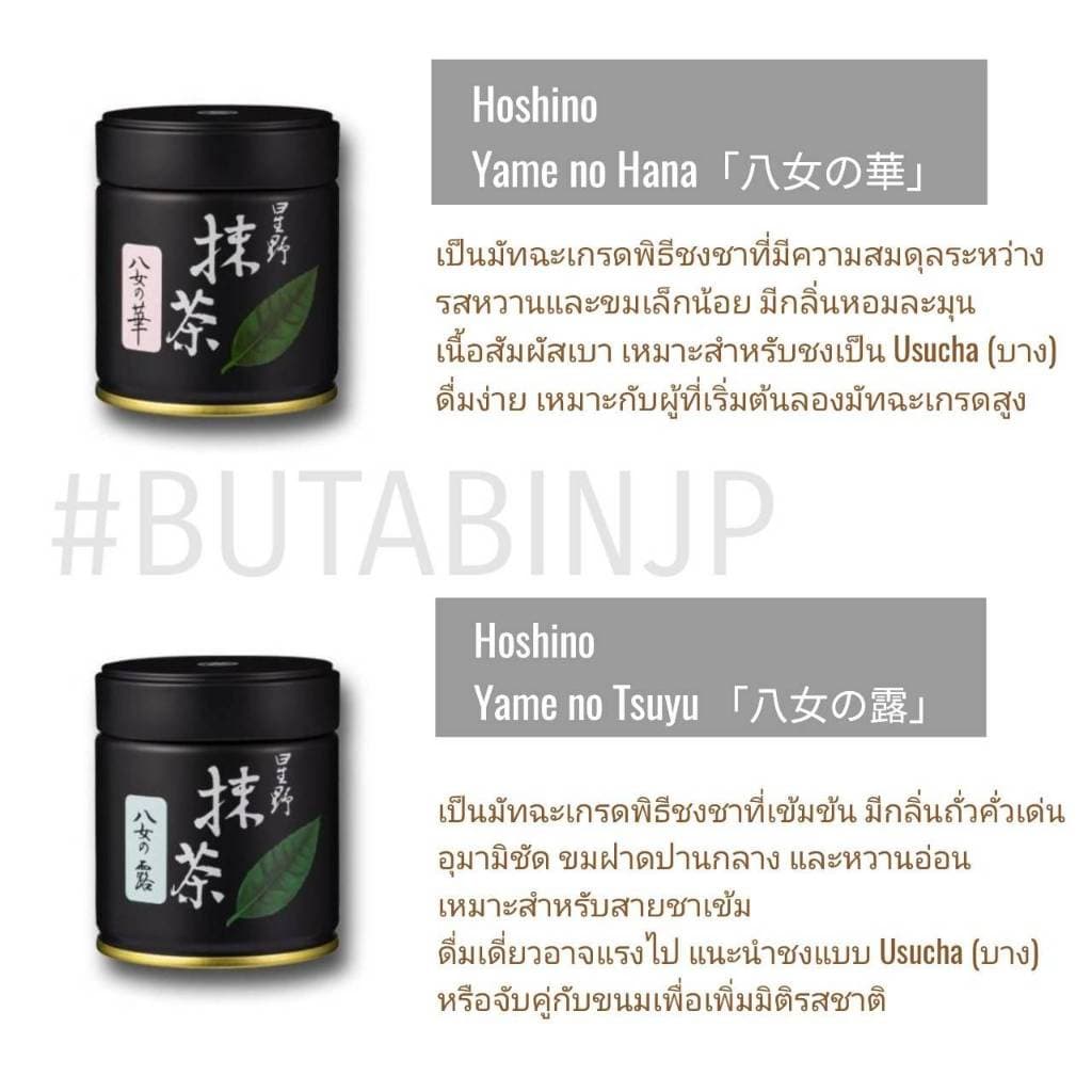 Hoshino มัทฉะ Yame เกรดพิธีการ โทนถั่วตะโกนนน จากญี่ปุ่น 100% สดใหม่ไม่มีค้างสต๊อก รูปที่ 6
