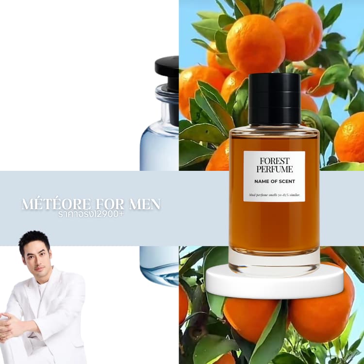 น้ำหอม FOREST- Inspired by Meteore for men - ขนาด 50ML รูปที่ 1