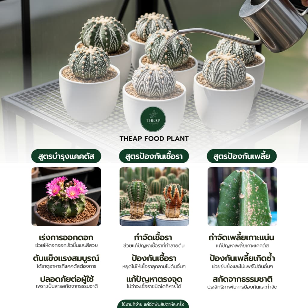 สเปรย์ป้องกันและกำจัดเชื้อราTHEAP รูปที่ 2