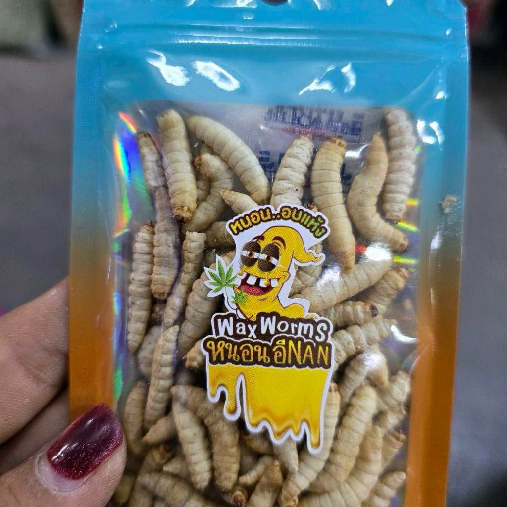 หนอนแว๊กฟรีซดราย หนอนน้ำผึ้ง หนอนแว๊กซ์ สำหรับชูก้า กระกรอก 10g. รูปที่ 4