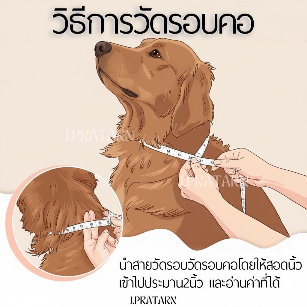 ส่งด่วน ! สร้อยคอสัตว์เลี้ยง โซ่ทอง/เงิน ปลอกคอสุนัข แมว มีกระพรวน กระดิ่ง สร้อยอะลูมิเนียม รูปที่ 4