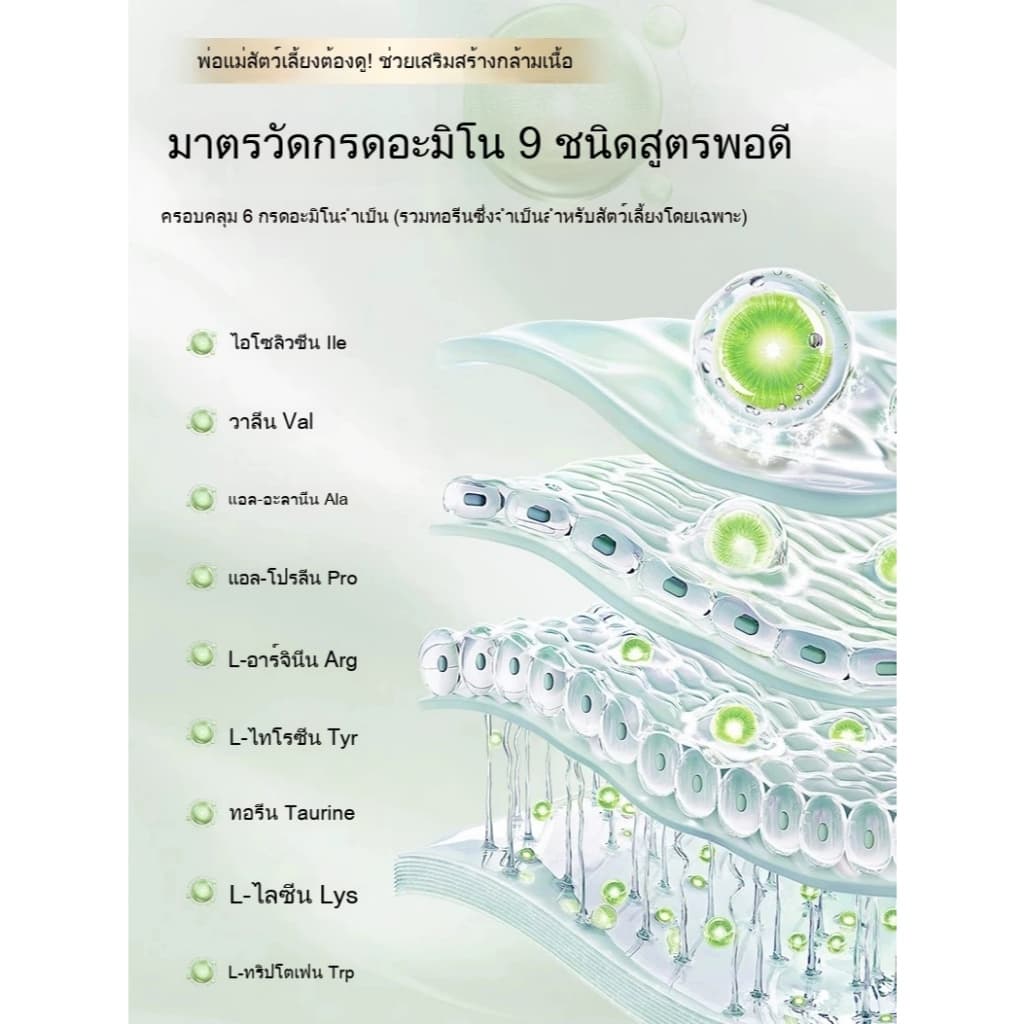 KetzuzuPet อาหารเสริมสำ วิตามิน 14g รูปที่ 6