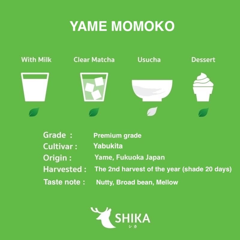 SHIKA MATCHA | YAME MOMOKO MATCHA ยาเมะ โมโมโกะ มัทฉะ เกรดพรีเมี่ยม ผงมัทฉะแท้ 100% รูปที่ 3
