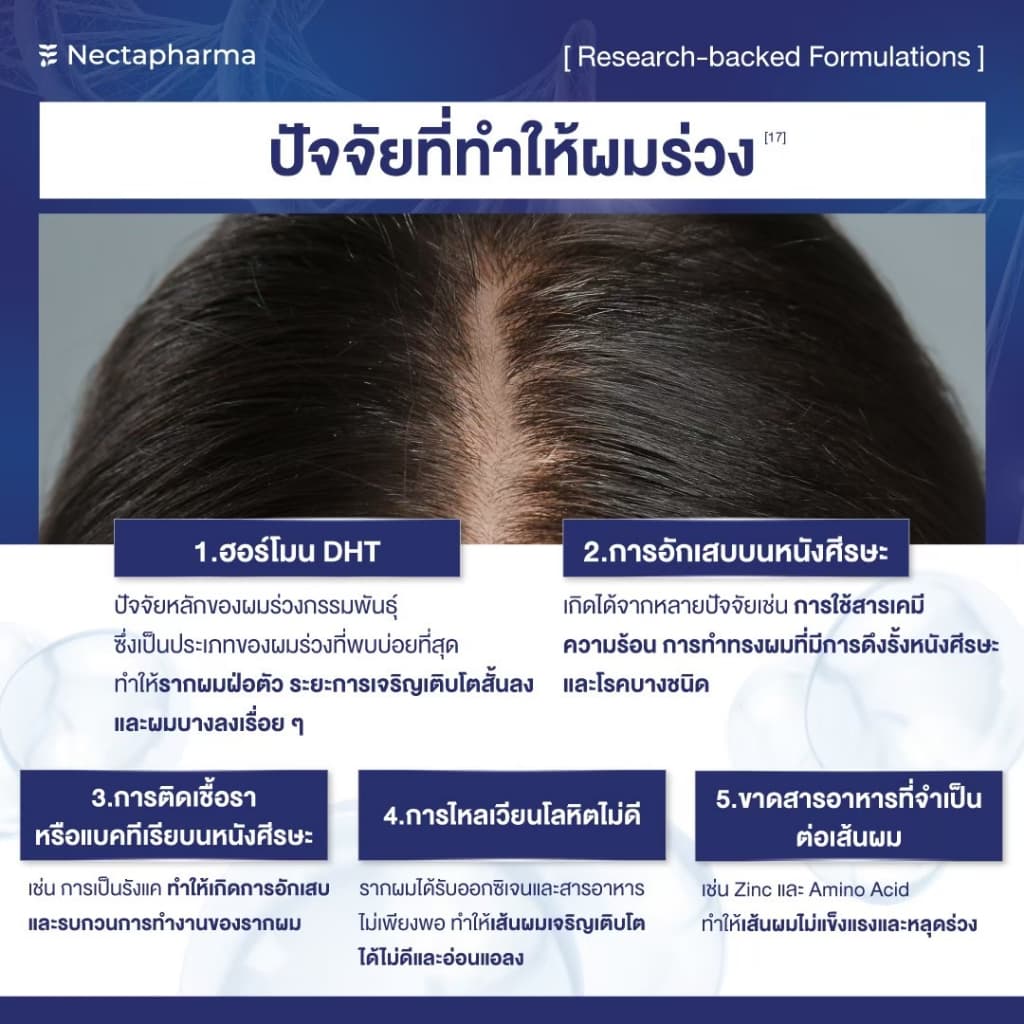 Intensive Hair Serum เซรั่มลดผมร่วง ผมบาง เพิ่มผมใหม่ จาก Nectapharma ใส่ Redensyl Procapil Capixyl รูปที่ 3