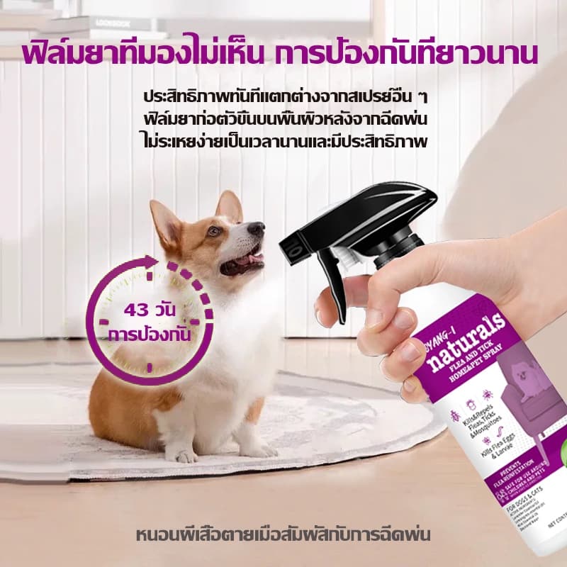 1วินาทีฆ่าเห็บหมัดกำจัดเห็บและหมัด 500ml กำจัดหมัดหมา กำจัดหมัดแมว กำจัดเห็บหมัด สูตรพืช ปลอดภัย ไม่ทำร้ายสัตว์เลี้ย รูปที่ 5