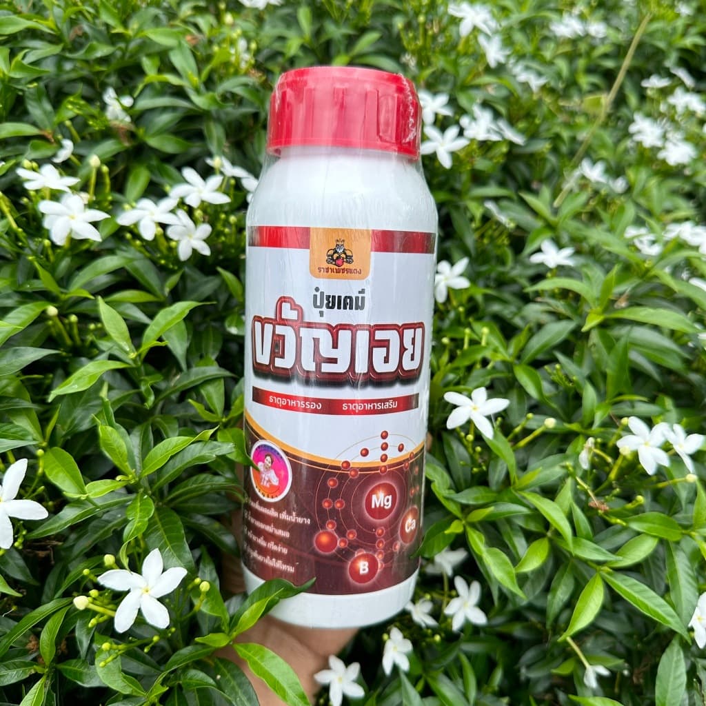 ยาทาหน้ายาง ปุ๋ยทาหน้ายางพรีเมี่ยม ธาตุอาหารเสริม เพิ่มน้ำยางและรักษายางตายนึ่ง รูปที่ 4