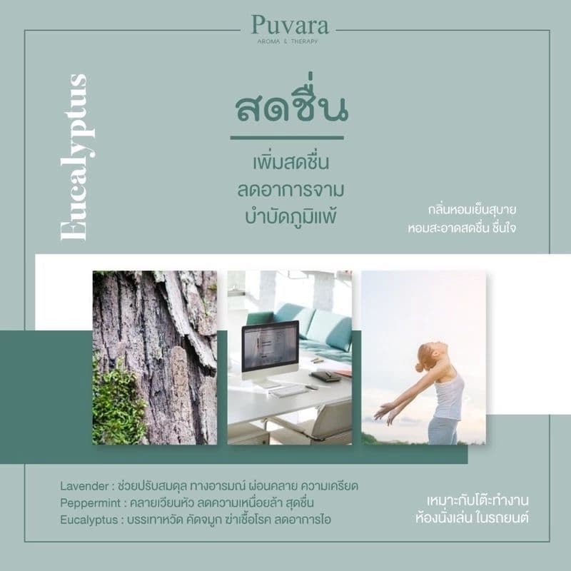 Puvara Refill Aroma for Car รีฟิลน้ำมันหอมระเหย สำหรับรถยนต์ สกัดจากธรรมชาติ 100% ขนาด 15-50 มล. มีให้เลือก 2 กลิ่น รูปที่ 5