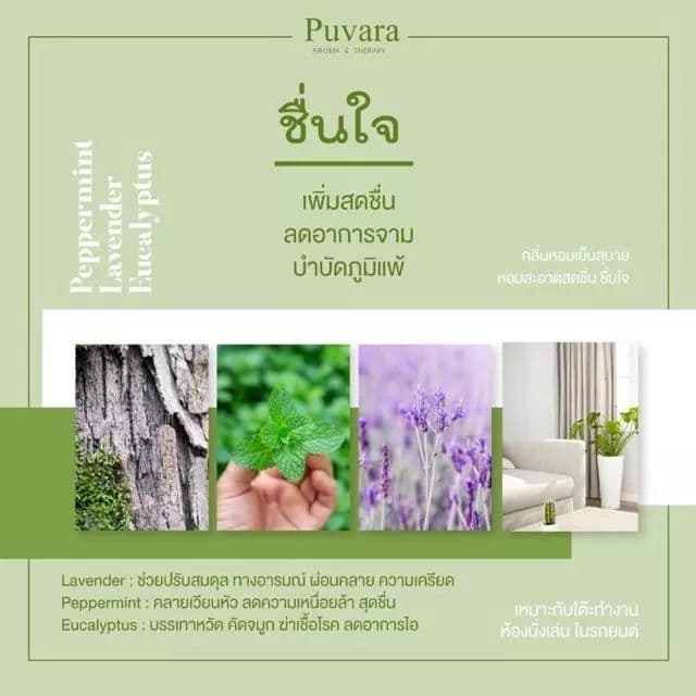 Puvara Refill Aroma for Car รีฟิลน้ำมันหอมระเหย สำหรับรถยนต์ สกัดจากธรรมชาติ 100% ขนาด 15-50 มล. มีให้เลือก 2 กลิ่น รูปที่ 6