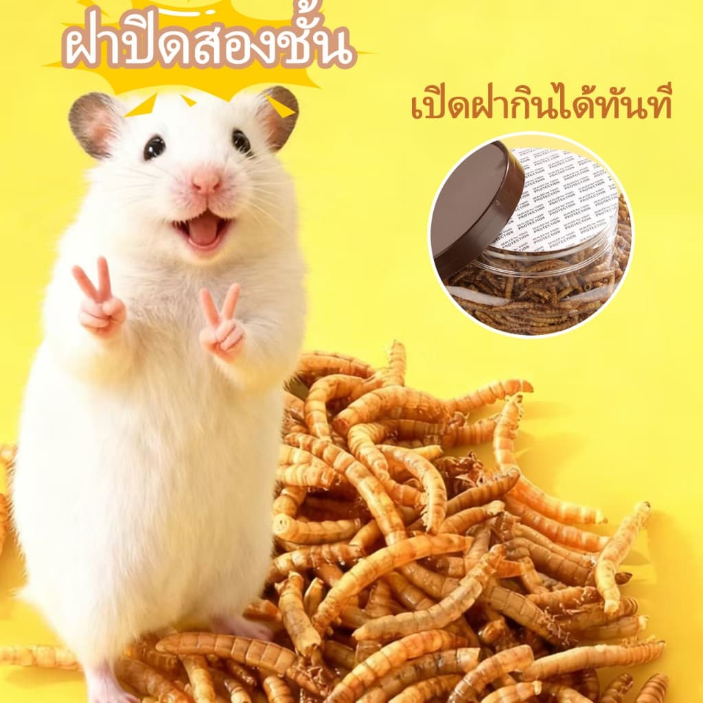 PETLUSCI® หนอนนกอบแห้ง 1300ML หนอนอาหาร หนอนอบแห้ง อาหารหนูแฮมเตอร์ hamster โปรตีนสูง อาหารนก เต่า รูปที่ 3
