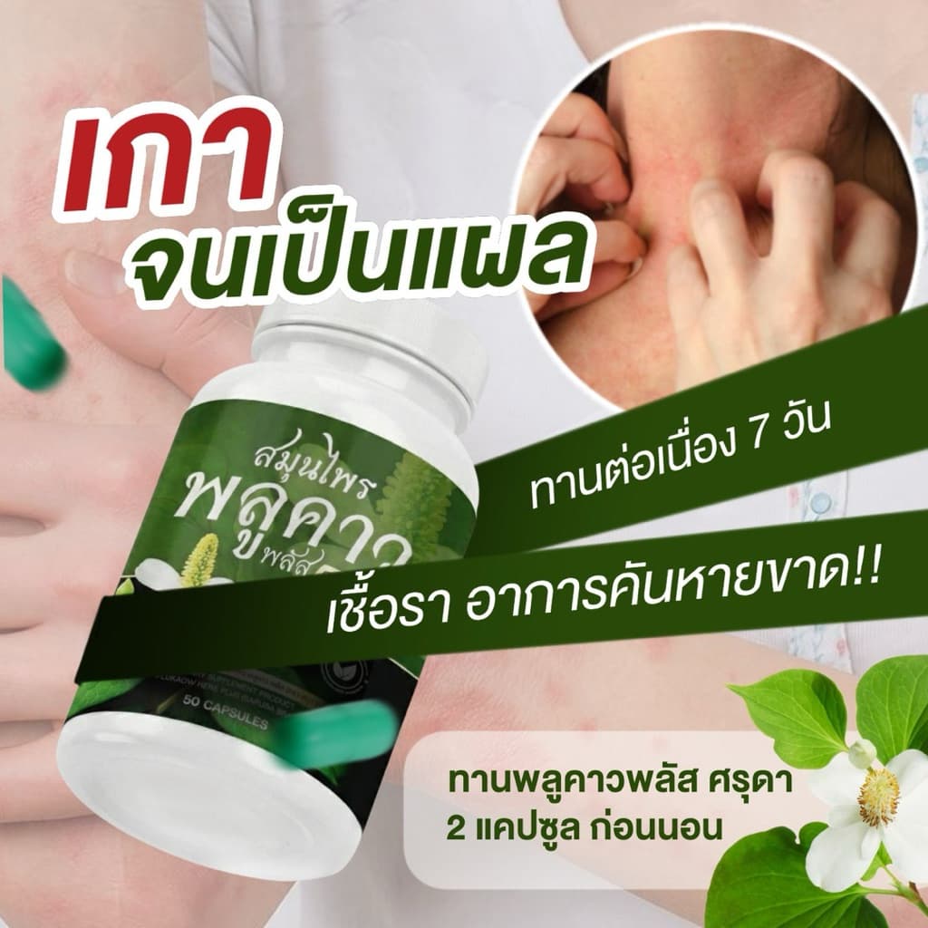 Plukaow plus พลูคาวพลัส ศรุดา 1 กป 50 แคป รูปที่ 2