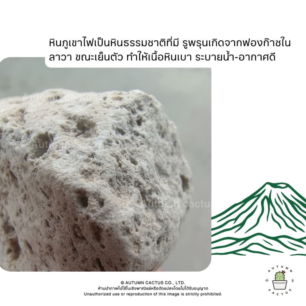 หินภูเขาไฟ Pumice Stone รองก้นกระถาง ผสมดินปลูก หินทำถุงหอม ถุงใหญ่ ขนาด 4ลิตร เบอร์00 เบอร์01 เบอร์02 XL - XXL รูปที่ 6