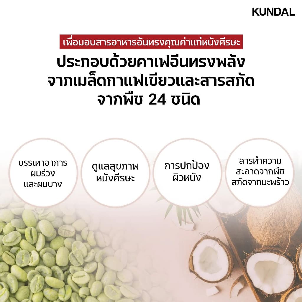KUNDAL HAIR LOSS RELIEF SHAMPOO CHERRY BLOSSOM คุนดัล แฮร์ ลอส รีลีฟ แชมพู เชอร์รี บลอสซัม สูตรลดผมร่วง บำรุงรากผม 500มล รูปที่ 4