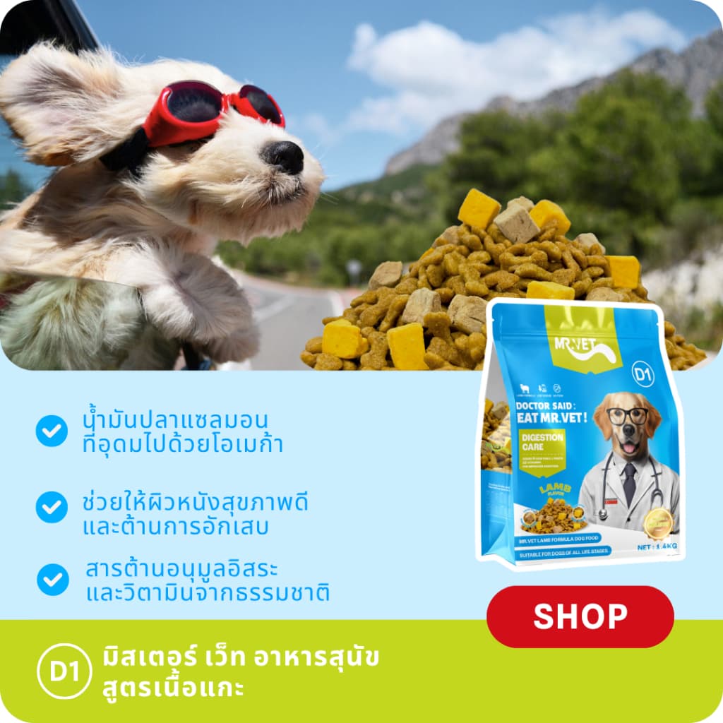 MrVet อาหารสุนัข D1 Holistic Premium 1.4kg สูตรเนื้อแกะ ดูแลระบบย่อยอาหาร เหมาะสำหรับทุกช่วงวัย รูปที่ 4