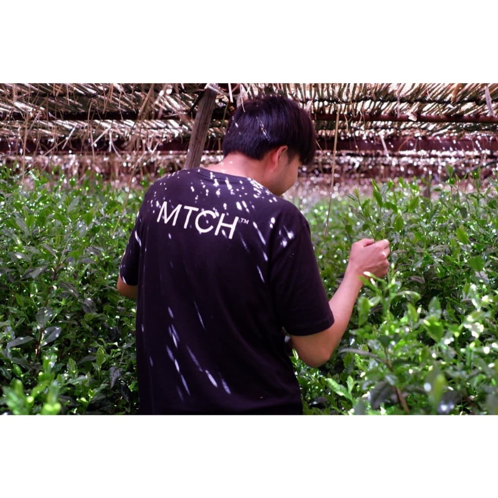 Gokasho Samidori - Single Origin 40g รูปที่ 3