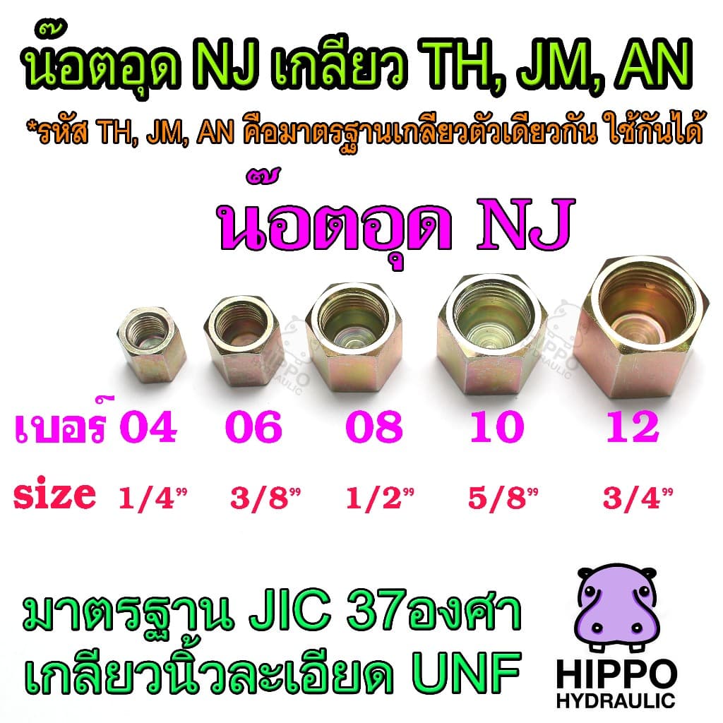 ปลั้กอุดJM, น๊อตอุดN๋J เกลียว TH, JM, AN อุดสายน้ำมัน อุดวาล์วไฮดรอลิค อุดสายpower รูปที่ 4