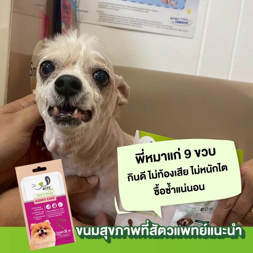 Bite Care ขนมขัดฟันสุนัขเพื่อสุขภาพ 38g เสริมกระดูกข้อ ภูมิคุ้มกัน ขนเงา Bite Care รูปที่ 8