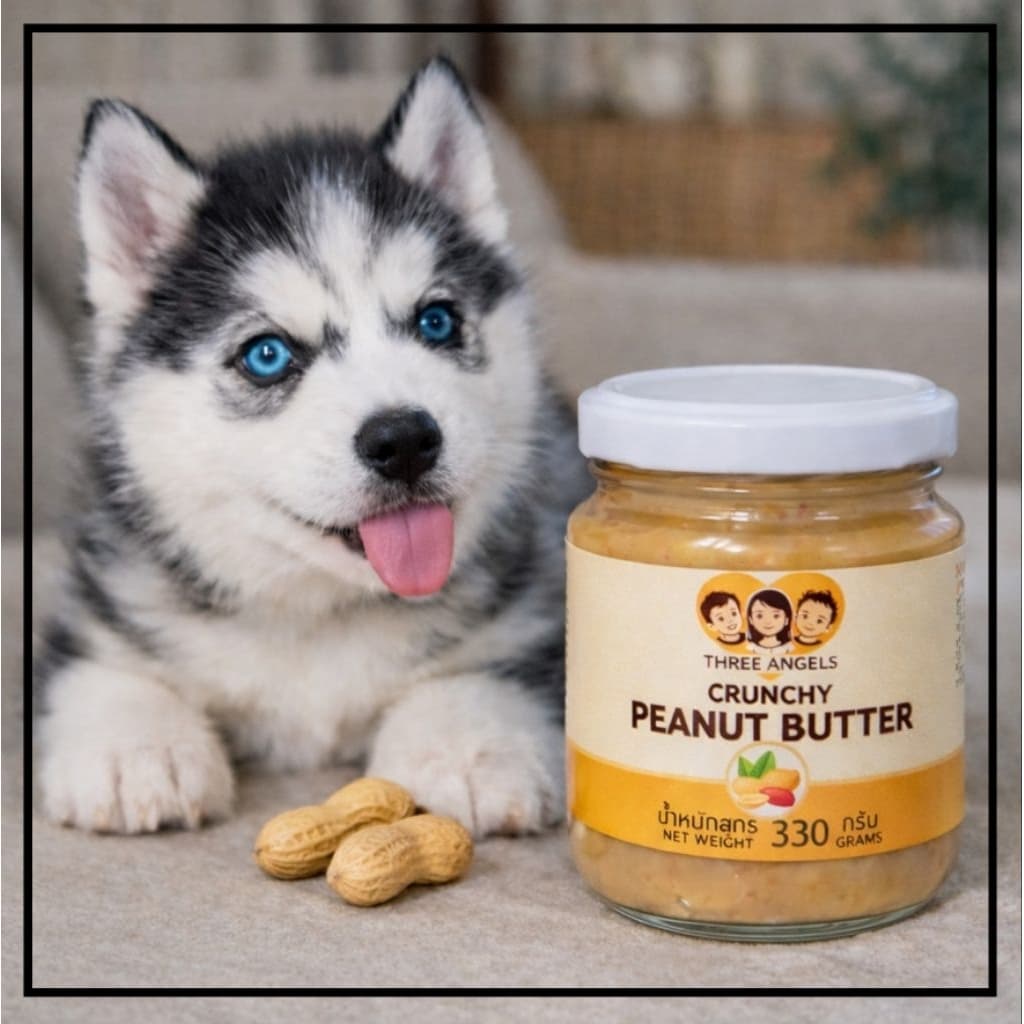 Peanut Butter เนยถั่วลิสง 100% | Best Price ราคาที่ดีที่สุด |ส่งเร็ว Fast Shipping | No Oil No Sugar No Salt | 100g-450g รูปที่ 5