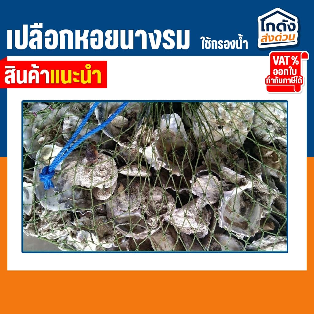เปลือกหอยนางรม 6 kg.ใส่ถุงตาข่ายอวนเขียว พร้อมใช้งาน รูปที่ 4