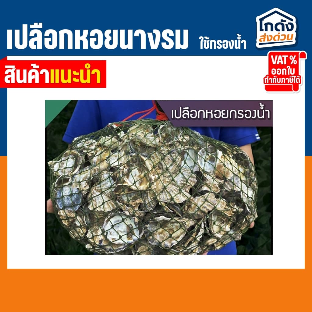 เปลือกหอยนางรม 6 kg.ใส่ถุงตาข่ายอวนเขียว พร้อมใช้งาน รูปที่ 2