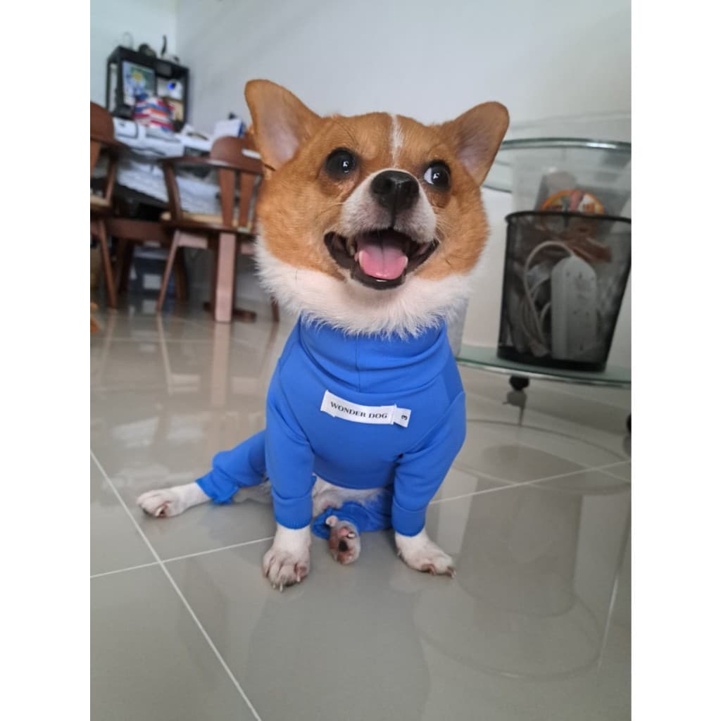 ชุดเก็บขน wonder dog เสื้อสุนัข เสื้อแมว ชุดกันขนร่วงสุนัข ชุดสัตว์เลี้ยง โทนน้ำเงิน รูปที่ 8