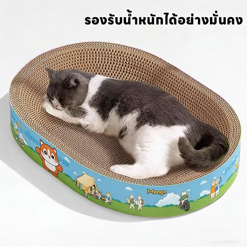 ที่ลับเล็บแมวทรงอ่าง ที่ฝนเล็บ พร้อมแคทนิปในตัว ใช้เป็นที่นอนได้ ของเล่นแมว อ่างลับเล็บแมว ที่ฝนเล็บแมว ที่ขูดเล็บแมว รูปที่ 5