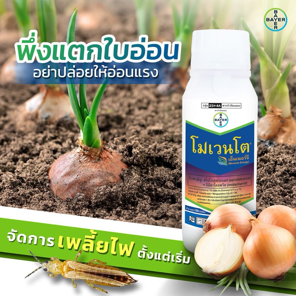 โมเวนโต เอ็นเนอร์จี้ กำจัดเพลี้ยไฟ เพลี้ยจั๊กจั่น ขนาด500ml. รูปที่ 5