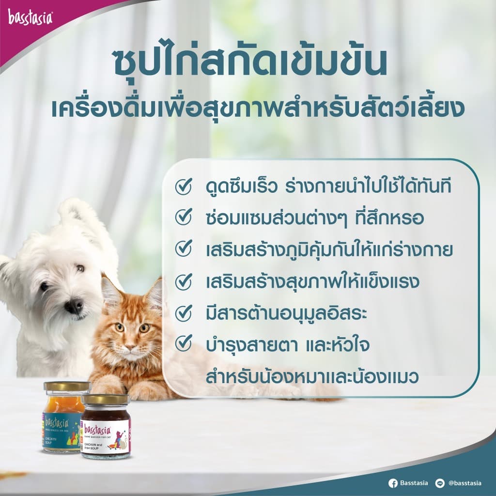 Basstasia อะมิโน บูสเตอร์ ซุปไก่และปลาสกัดเข้มข้นสำหรับสุนัขและแมว หอมอร่อย บำรุงทันที รูปที่ 4