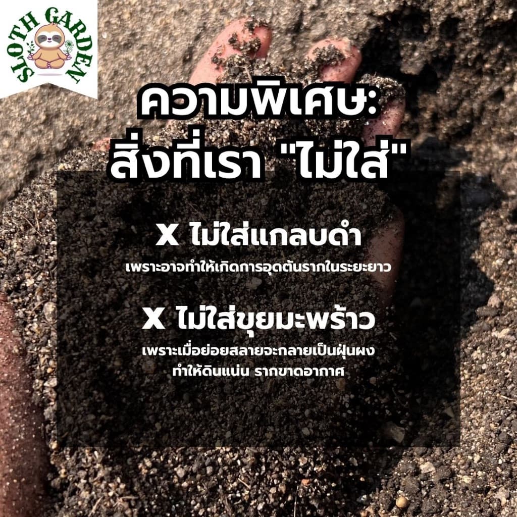 ดินร่วนปนทราย ผสมปุ๋ยหมัก ปลูกต้นอะไรก็ได้ รากเดินง่าย ระบายน้ำดี อินทรีย์วัตถุสูง ดินแคคตัส ดินเพาะเมล็ด รูปที่ 3