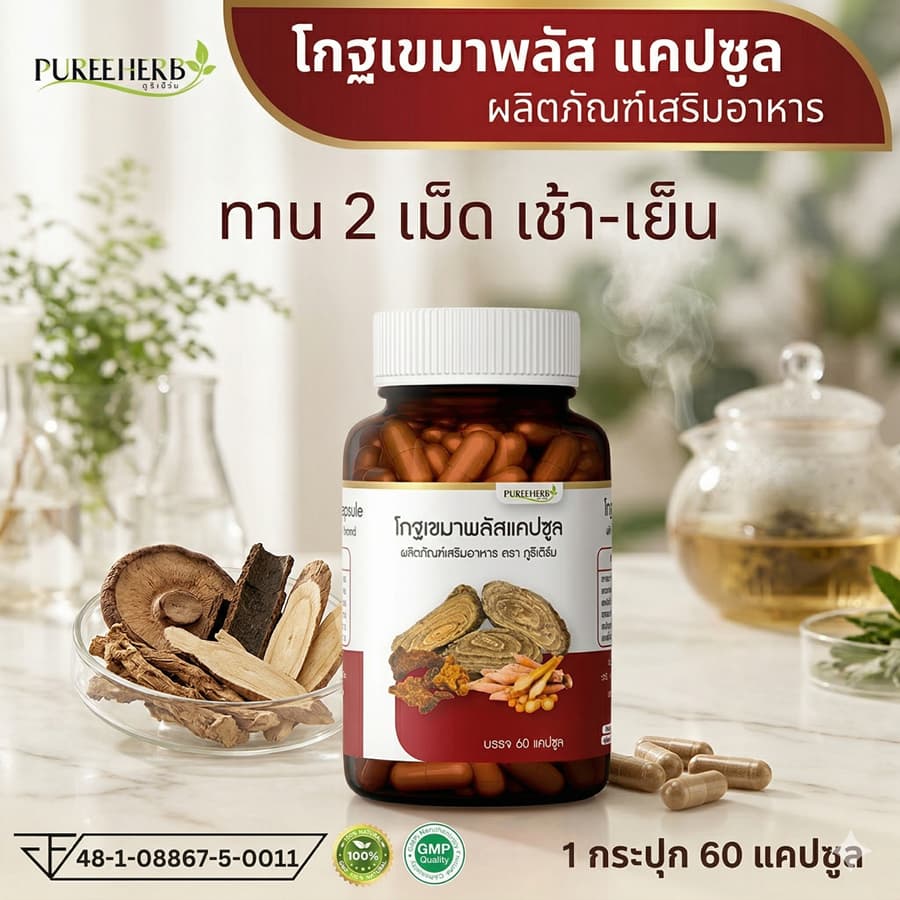 Puree Herb โกฐเขมา โกฐเขมาพลัสแคปซูล ภูรีเฮิร์บ ปวดข้อ ปวดเข่า ปวดหลัง ปวดเอว ปวดเมื่อย เส้นยึด เส้นตึง รูปที่ 1