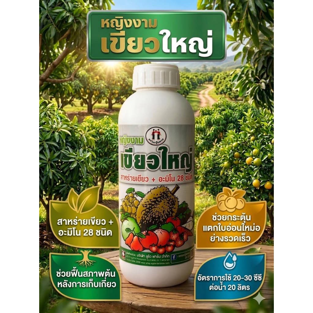 สาหร่าย+อะมิโนเข้มข้น #เขียวใหญ่1 ลิตร #ตราหญิงงาม เขียวไว เร่งโต ใบเขียวเข้ม ใช้ได้ทุกพืช นาข้าว มันสำปะหลัง ยางพารา รูปที่ 3