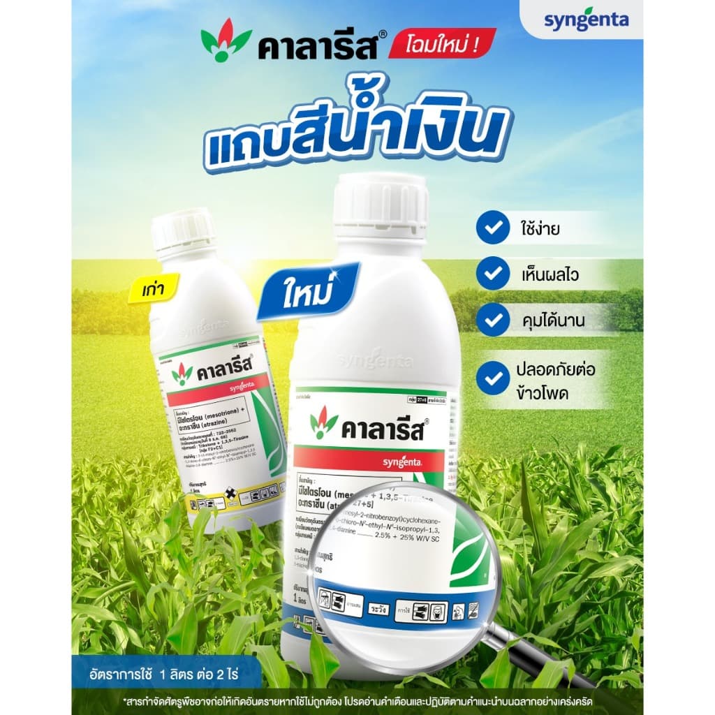 คาลารีส 1 ลิตร ยาฆ่าหญ้าในข้าวโพด พ่นทับได้ปลอดภัยต่อข้าวโพด รูปที่ 2