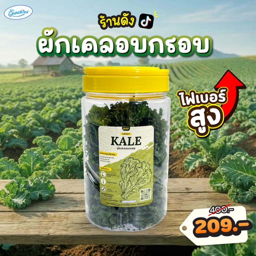 [เคลถัง] ผักเคลอบกรอบ 1 ถัง ออร์แกนิก ไขมันต่ำ ไม่ทอด กรอบ กินเพลิน ไม่รู้สึกผิด ขนม ของกิน snackies