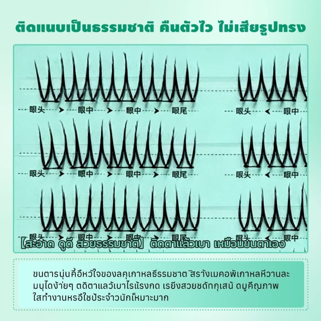 Dreehalo ซีรีส์ไอดอลลุคทุกวันขนตาสไตล์ไอดอล ลุคเด่นแบบไอดอล ตาคม มีพลัง F292 รูปที่ 6