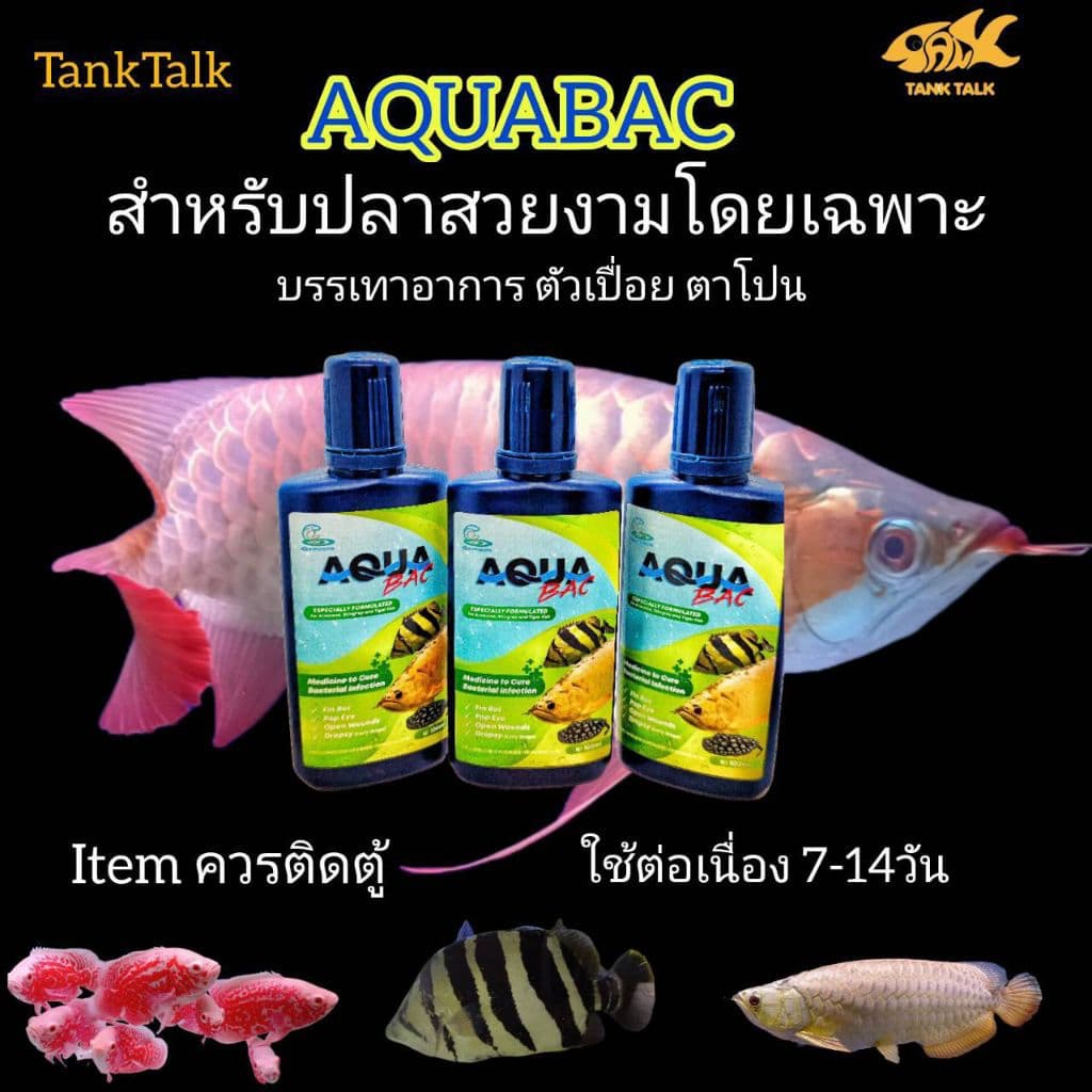 Aqua Bac สารละลายดูแลปลาสวยงาม สำหรับน้ำประปา รูปที่ 3